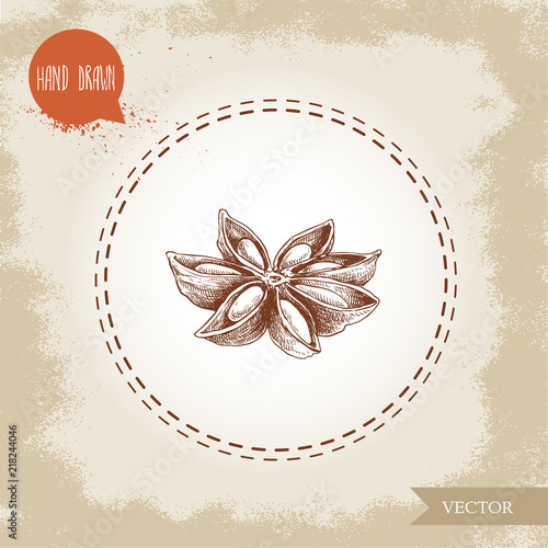 Hand drawn sketch style anise star. Engraved spice vector illustration isolated on old looking background.