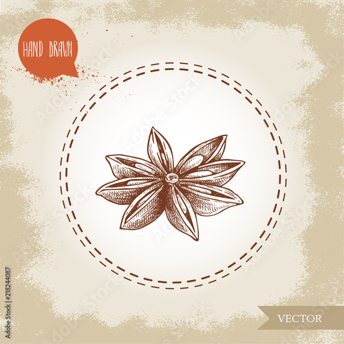 Hand drawn sketch style anise star. Engraved spice vector illustration isolated on old looking background.