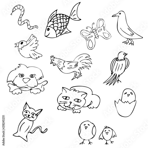 simple hand draw sketch bird, fish chicken, cat, egg, butterfly, worm, snake, rooster