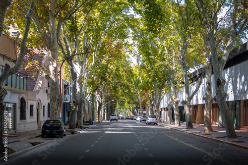 Fototapeta Naklejka Na Ścianę i Meble -  Street in downtown Mendoza - Mendoza, Argentina