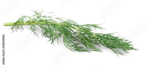 Fennel   Dill Leaves