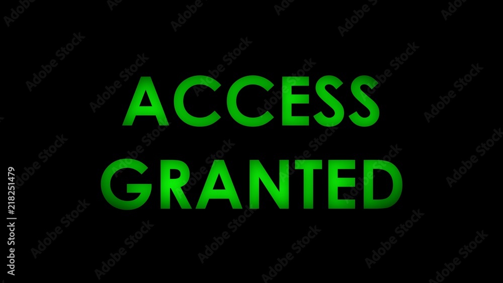 Access granted - Green flashing warning message text on black background.
