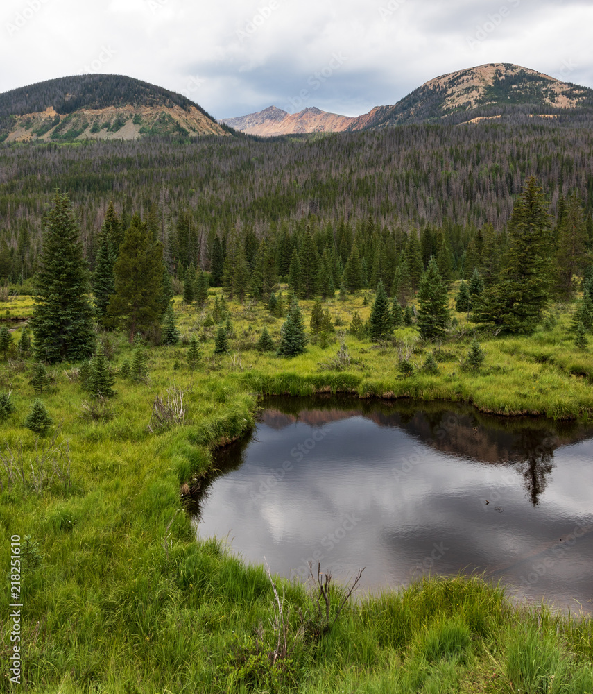 Pond in grassy field, backed by evergreen forest, and  Colorado Rocky Mountain vista in background. Good for background, text.