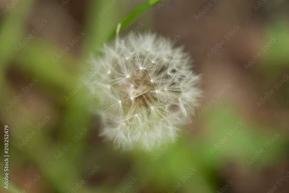 Fototapeta premium lake12258.jpg