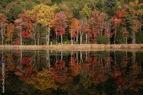 Fotografía Massachusetts Reflection