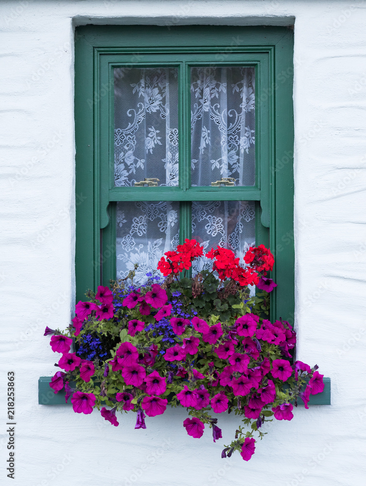 colouful flower box on window of old vintage irish cottage