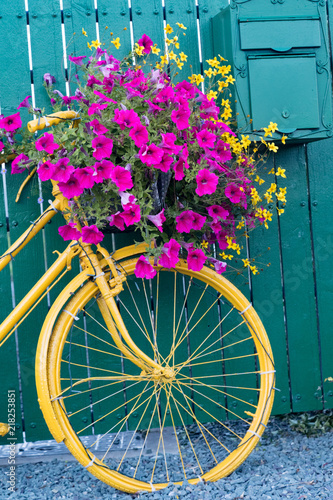 vintage decorative yellow bicycle with flower basket up against green wooden fence