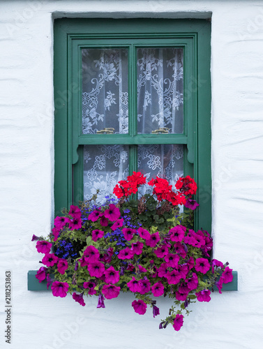 colouful flower box on window of old vintage irish cottage © Gabriel Cassan