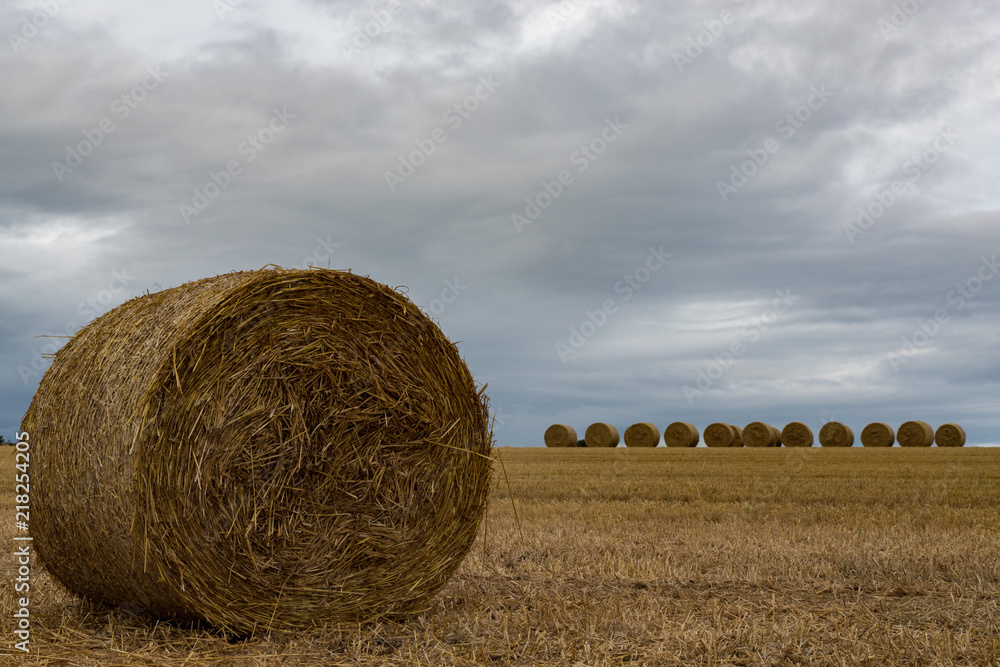 harvested Hay bales in a field with dark grey rain cloud sky background