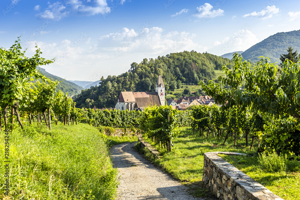 Spitz, Austria, View to old church from green vineyards.