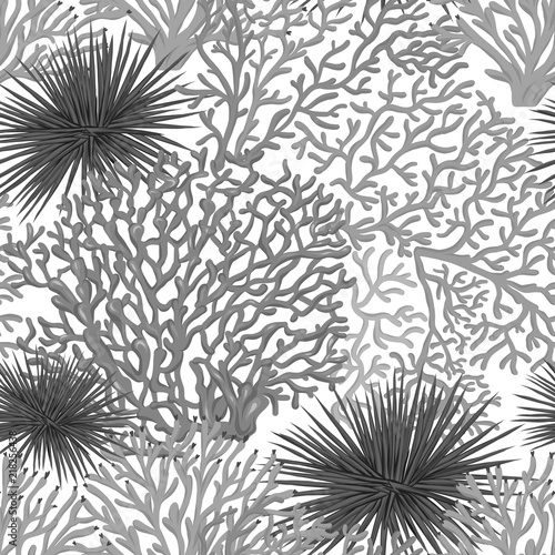 Sea world seamless pattern, background with fish, corals and shells on white background. Stock vector illustration. In monochrome gray colors