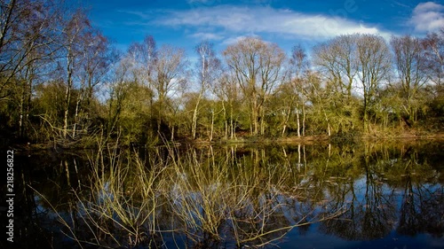 First world war mine crater Ypres Salient photo