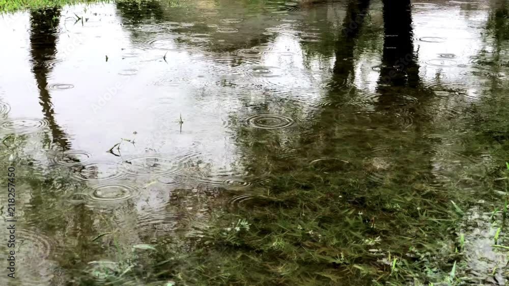 Raindrops and reflections in puddles after thunderstorm. Raindrops and reflections in puddles after thunderstorm.