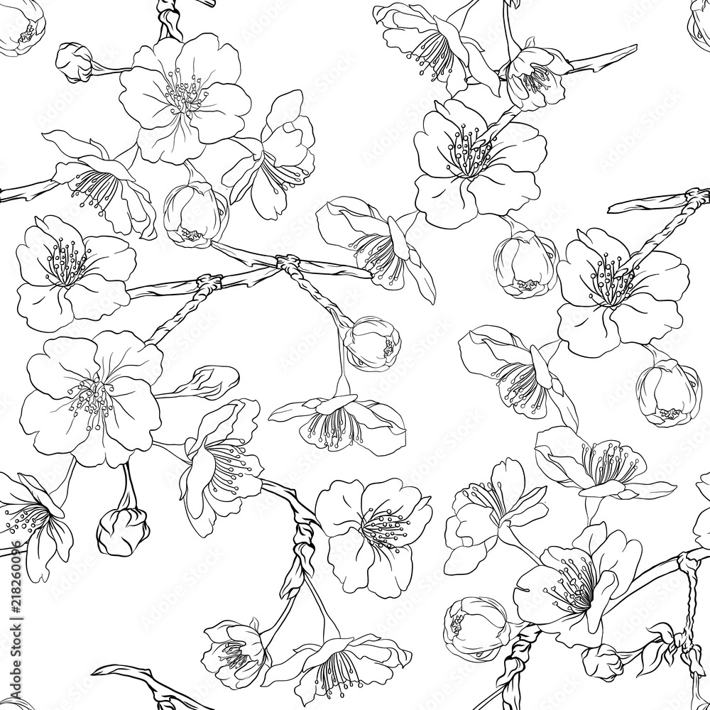 Fototapeta premium Seamless pattern, background with blooming cherry japanese sakura. Stock vector&nbsp;illustration. Outline drawing.