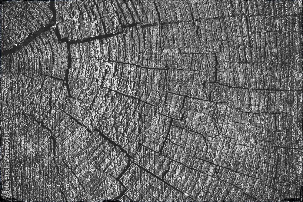 Fototapeta premium wooden background. Old vintage planked wood. Free text space.