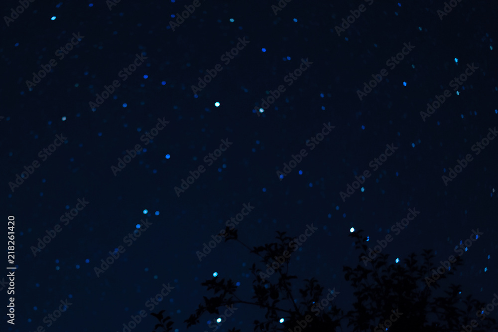 Long exposure night photo. A lot of stars with trees on foreground. Far from the city. Night landscape.