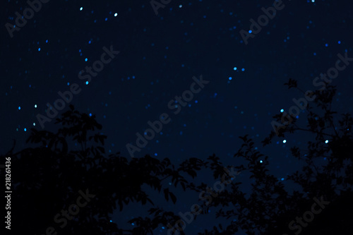 Long exposure night photo. A lot of stars with trees on foreground. Far from the city. Night landscape. © Alexs