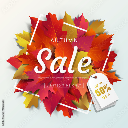 Autumn sale banner layout template modern design decorate with maple and realistic leaves for shopping sale or promotion poster, leaflet and web banner. Vector illustration.