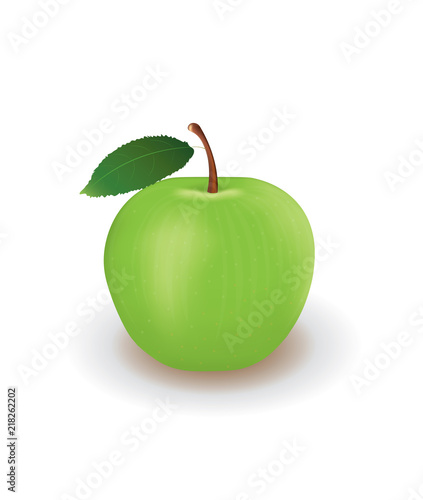 Green apple. vector illustration