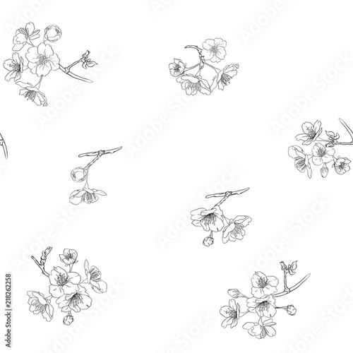 Seamless pattern, background with blooming cherry japanese sakura. Stock vector illustration. Outline drawing.