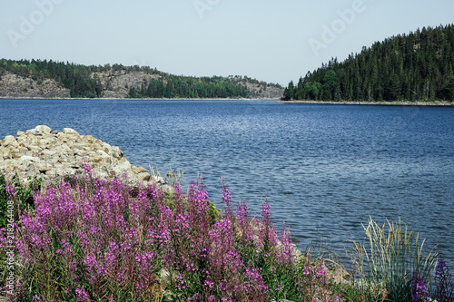Cliffs / rocks and flowers ...