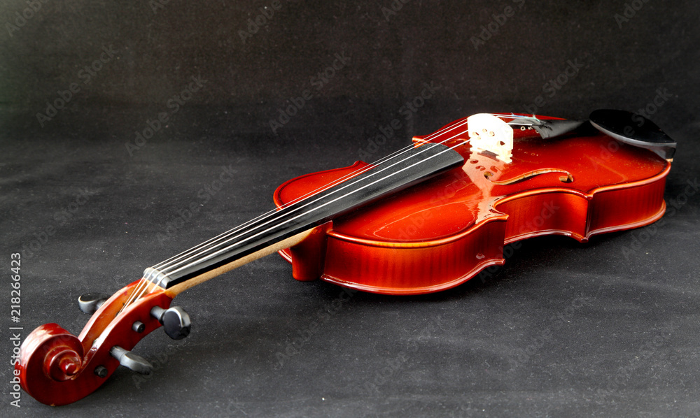 Fototapeta premium violin