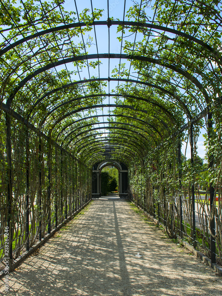Garden Arch Garden Arch