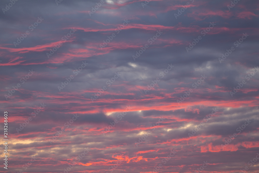 Fototapeta premium The sky during a sunset
