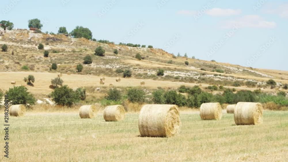 Beautiful field under blue sky with clouds in Larnaca, Cyprus. Rural landscape with golden haystacks on idyllic sunny day. Bales of hay lying on field during harvest and no people around Beautiful field under blue sky with clouds in Larnaca, Cyprus. Rural landscape with golden haystacks on idyllic sunny day. Bales of hay lying on field during harvest and no people around