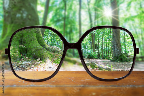 moderne Brille auf einem Brett im Wald bei Sonnenschein