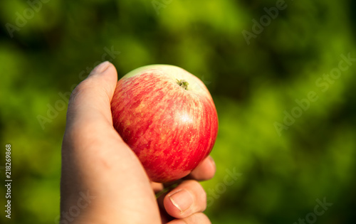 Juicy apple on a palm on a green background