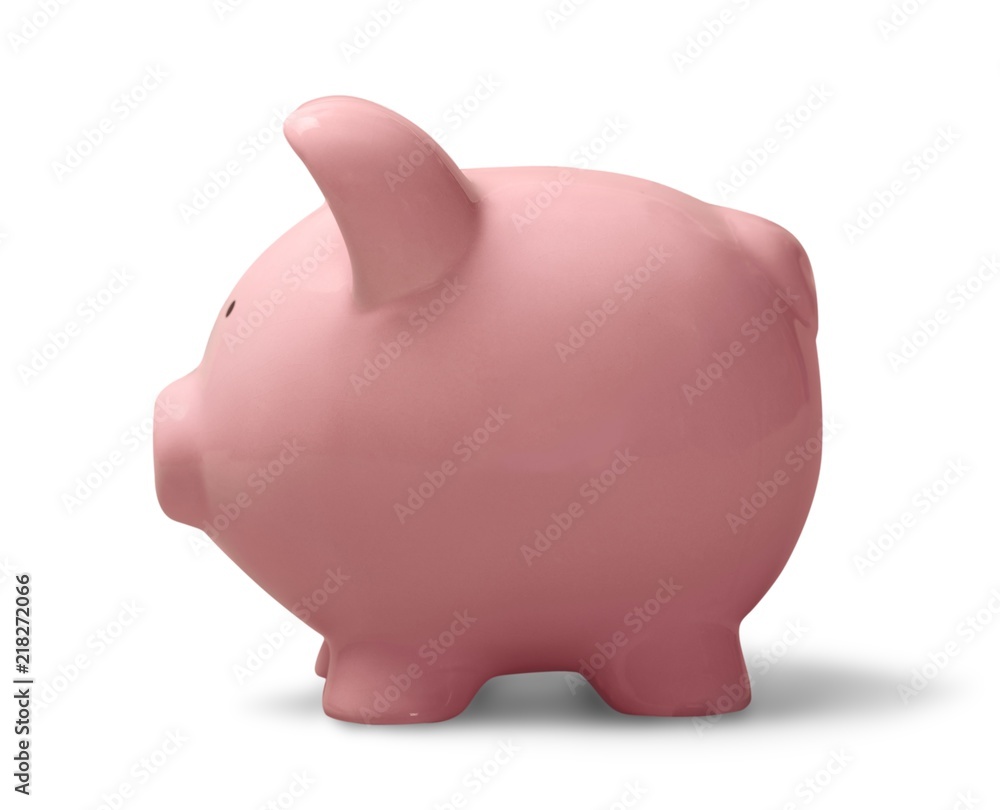 Obraz premium Piggy Bank