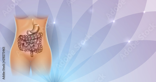 Stomach and colon illustration