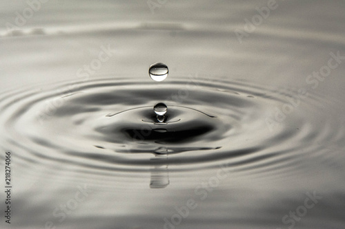 The Water Drop - Gota de água 