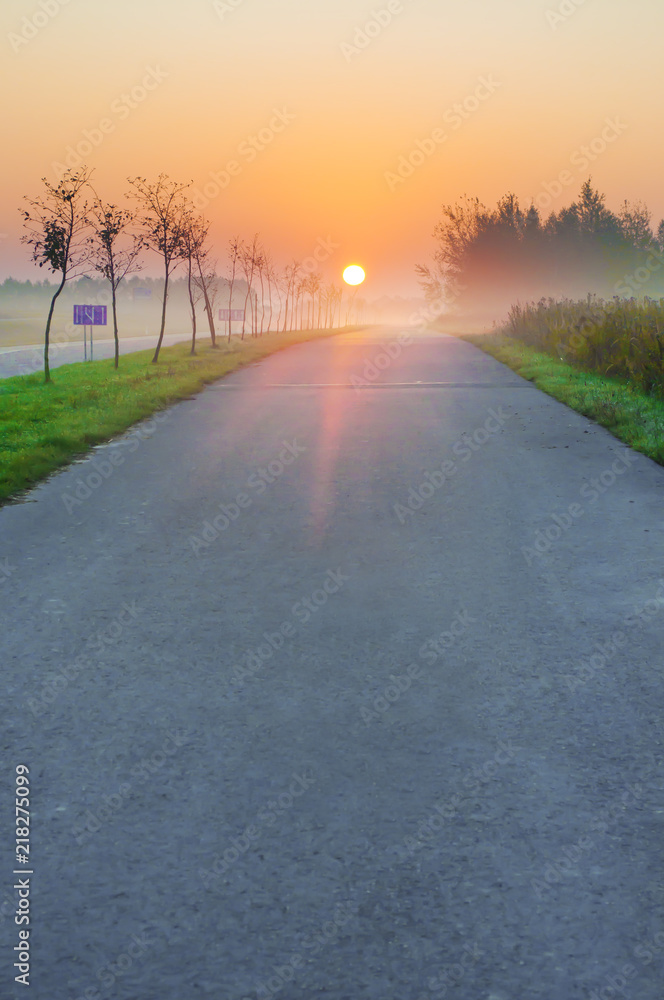 Empty asphalt road leading to a red sun disk on the horizon