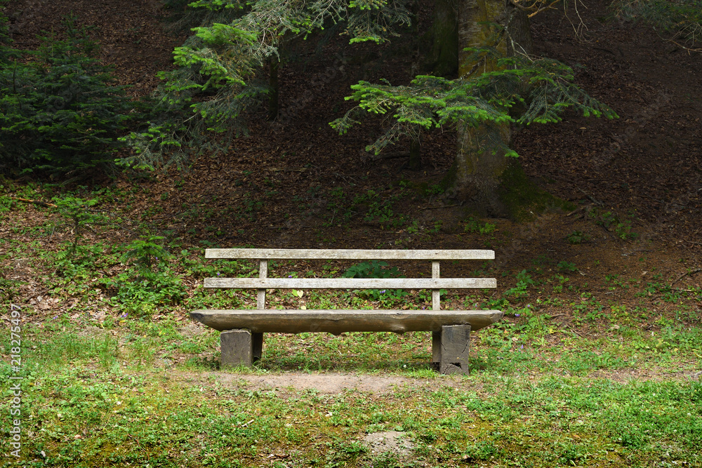 Wooden bench in forest