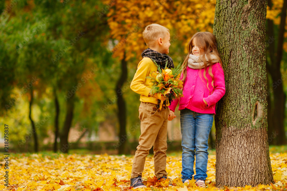 gives the girl flowers, romantic relationships, children fall in the Park gives the girl flowers, romantic relationships, children fall in the Park