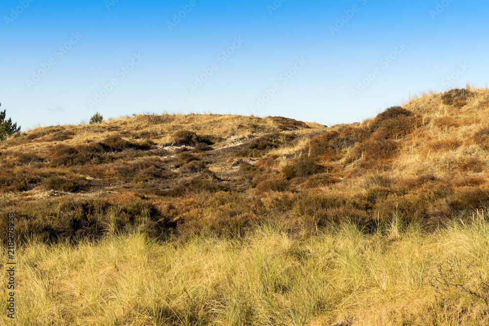 Dünen mit Dünengrass vor blauem Himmel Dünen mit Dünengrass vor blauem Himmel