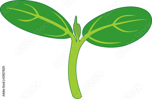 Sprout with two green leaves isolate on white background
