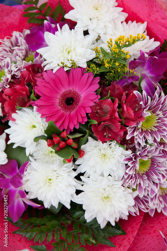 a variety of chrysanthemums and other flowers