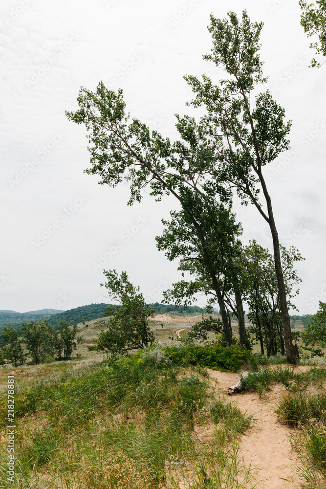 Sleeping Bear Dunes in Northern Michigan Sleeping Bear Dunes in Northern Michigan