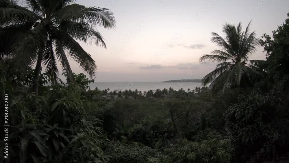 Time Lapse of an amazing sunset at sea and palms. Time Lapse of an amazing sunset at sea and palms.