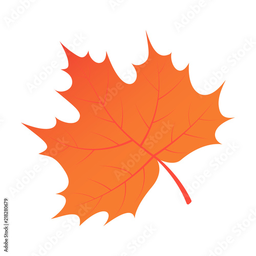 Brown autumn tree leaf icon. Isometric of brown autumn tree leaf vector icon for web design isolated on white background