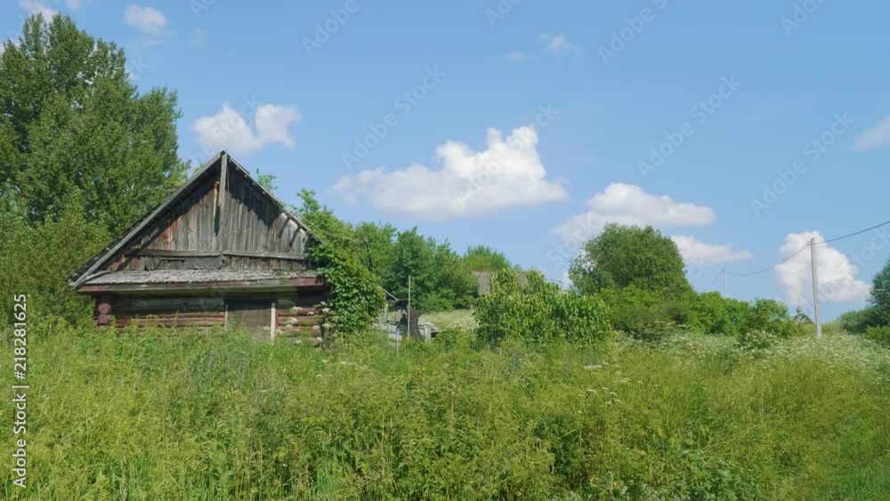 View of abandoned house with slafe roof in thick green grass nad bushes View of abandoned house with slafe roof in thick green grass nad bushes
