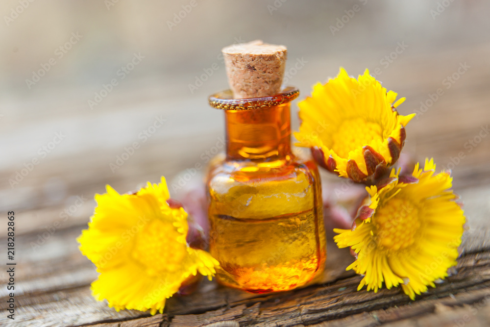 foalfoot essential oil in beautiful bottle on table foalfoot essential oil in beautiful bottle on table