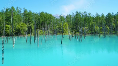 北海道 美瑛町 青い池