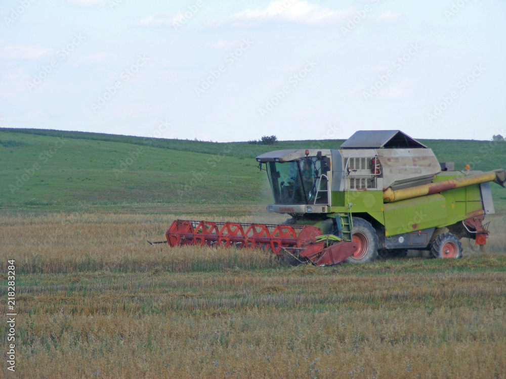 Fototapeta premium Combine is working - harvest time