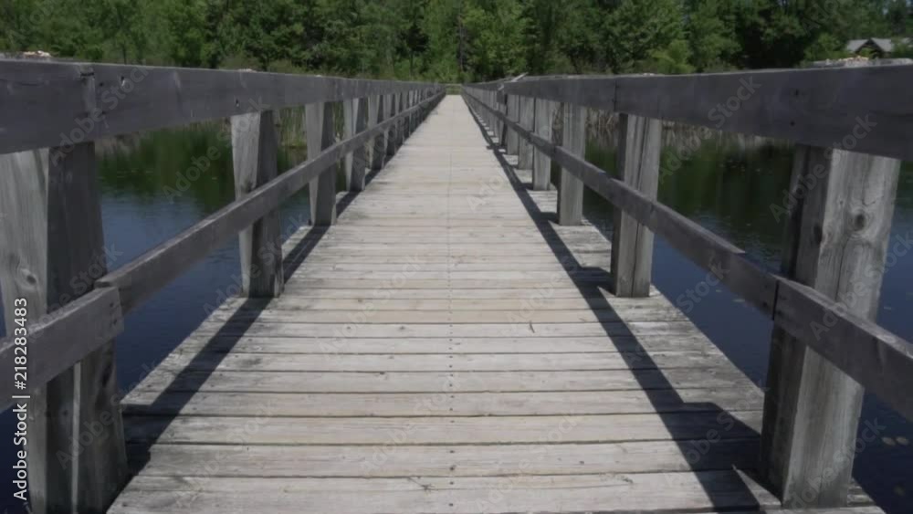 Marsh land, animals and board walks Marsh land, animals and board walks