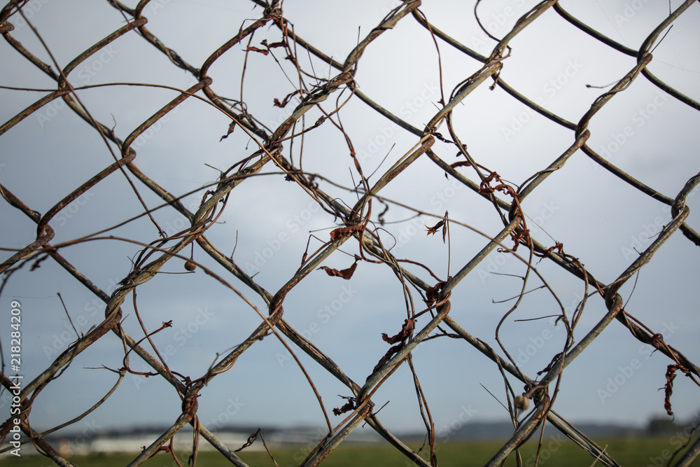 Background Net Wall Phuket Thailand