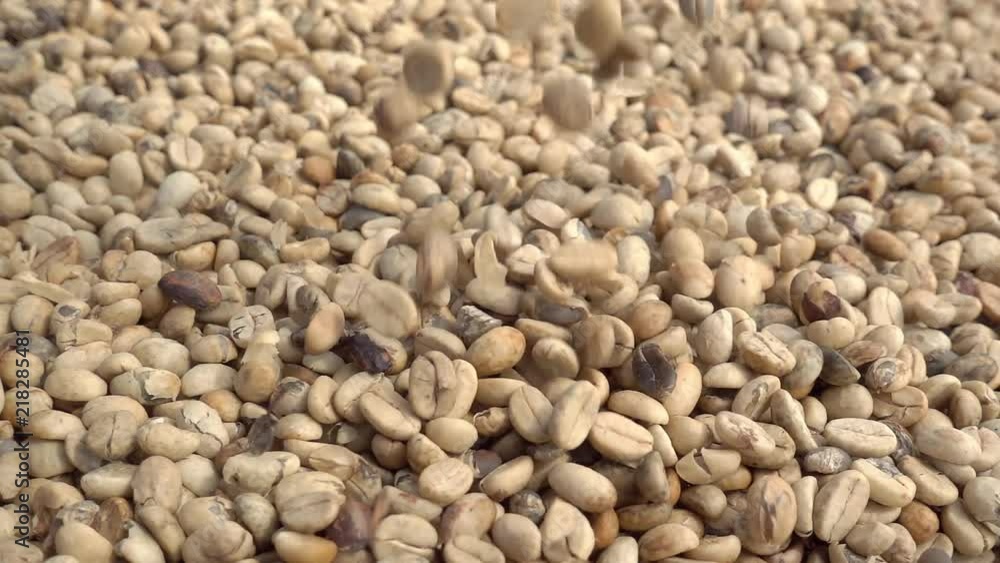 Unroasted raw coffee beans falling in slow motion Unroasted raw coffee beans falling in slow motion